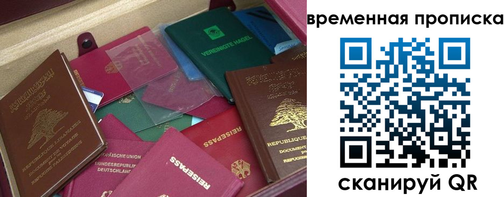 прописка в Новоузенске
